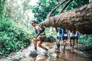 BIB: 
                            <button type="button" onclick="openModal(25374907)" class="btn btn-primary btn-sm float-right btn-popup" data-toggle="modal" data-target=".modal-high-quality">
                        <i class="fas fa-shopping-cart"></i> Add to Cart
                    </button>
                                            <button type="button" onclick="isThisMe(25374907, true)" class="btn btn-success btn-sm float-right btn-popup btn-isme hidden" data-toggle="tooltip" data-placement="bottom" title="นี่คือรูปของคุณใช่ไหม คลิกที่นี่เพื่อเอาเข้าอัลบั้ม">
                        <i class="fas fa-plus"></i> Add to album
                    </button>
                    <button type="button" onclick="isThisMe(25374907, false)" class="btn btn-warning btn-sm float-right btn-popup btn-isnotme hidden">
                        <i class="fas fa-ban"></i> Remove from album
                    </button>